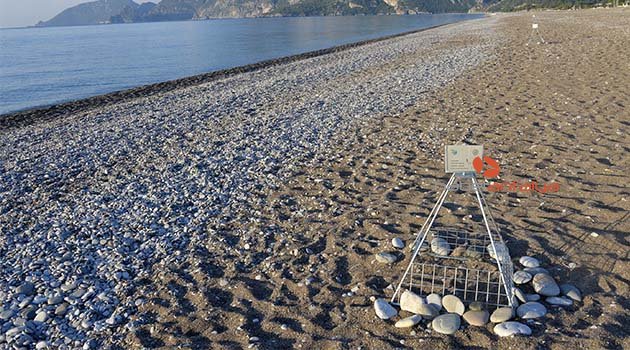 Çıralı'da yasaklar, Caretta Caretta yuva sayısını artırdı