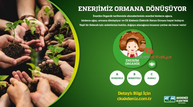 CK Akdeniz Elektrik abonelerine 'hatıra ormanı' anketi