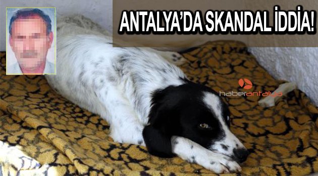 Çocuk parkında köpeğe tecavüz iddiası