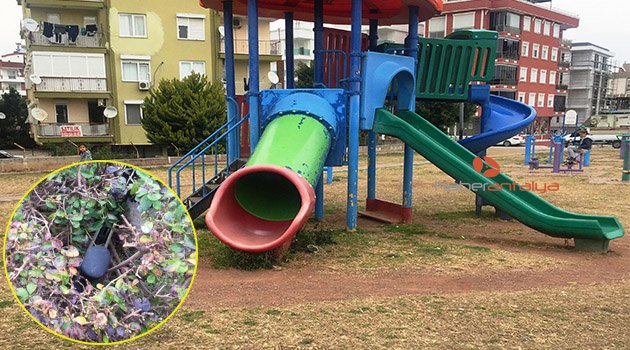 Çocuk parkında pompalı tüfek bulundu