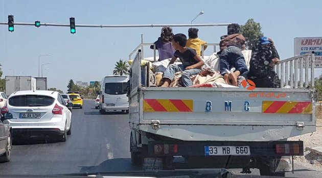 Çocukların kamyonet üzerinde tehlikeli yolculuğu