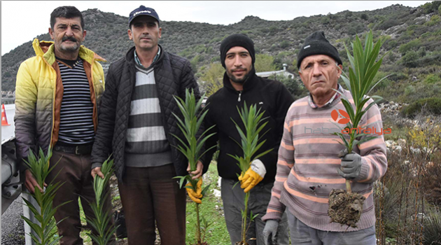 Demre'de Yeşil Yol projesi