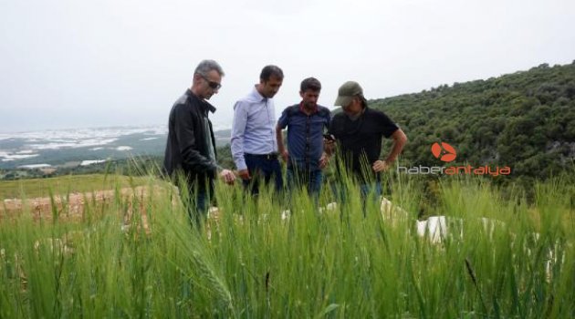 Demreli çiftçilere destek