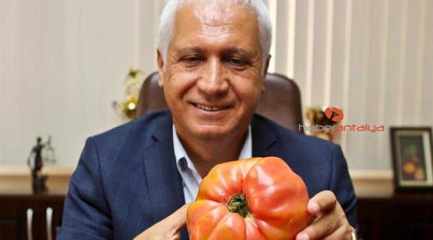 DEV DOMATESLER ELDE KALDI!