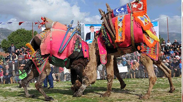 DEVELER EĞİTİM İÇİN GÜREŞECEK