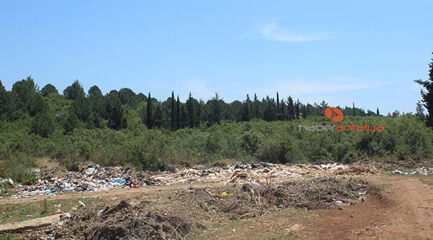 Doğa katliamına dikenli tel önlemi