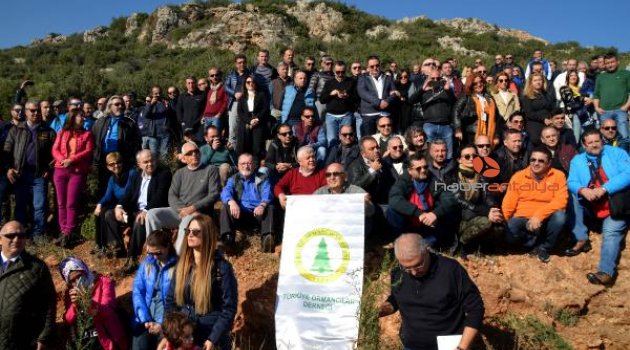 Doğaseverler 300 fidanı toprakla buluşturdu