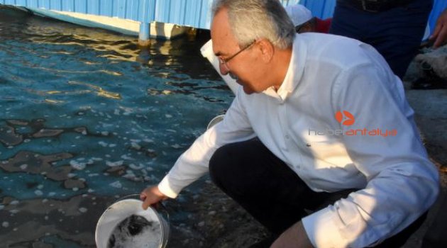 Doğaya 80 bin balık salındı