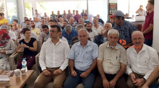 Domates üreticilerine 'tuta' anlatıldı