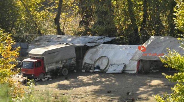 Domuz çiftliğine tepki