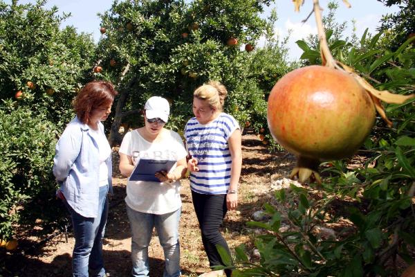DÖŞEMEALTI FESTİVALE HAZIRLANIYOR