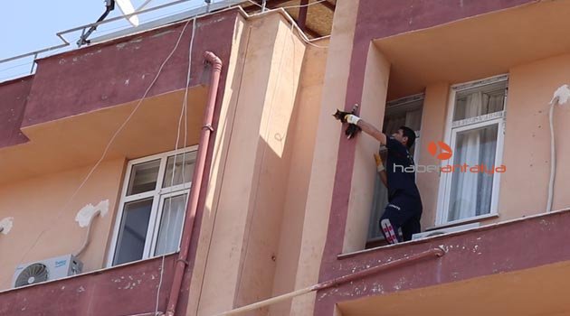 Düşmek üzere olan kedi son anda yakalandı