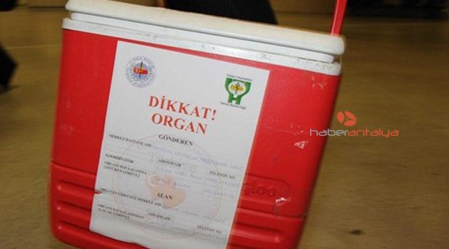 EĞİTİM ARAŞTIRMA'DAN NAKİL BAŞARISI