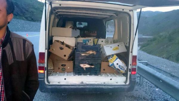 Elazığ'da Kaçak Avlanan 1,5 Ton Balık Ele Geçirildi