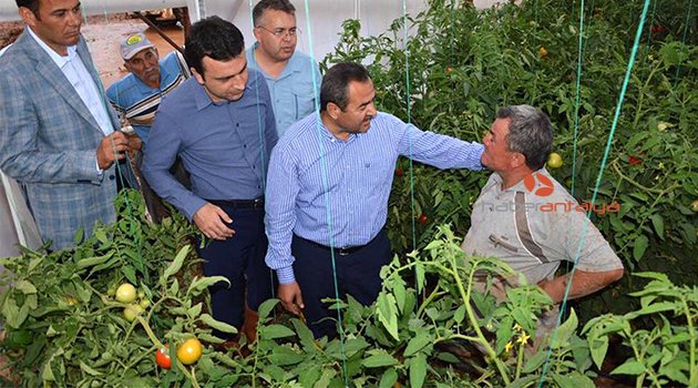 ELMALI’DA TARIM ALANLARI SELE TESLİM