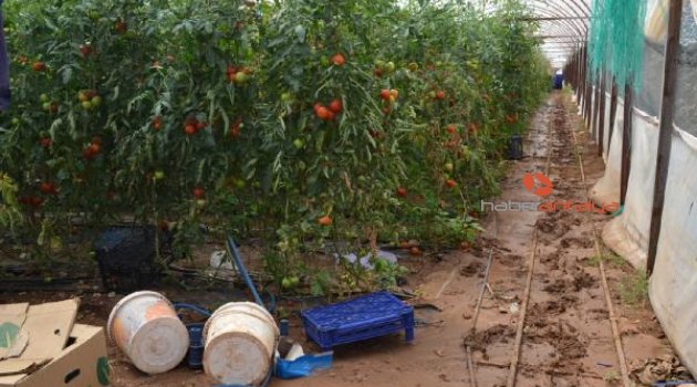 Elmalı'da selin yaraları sarılıyor