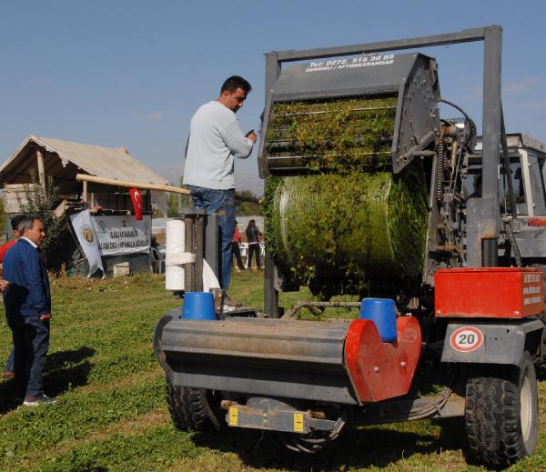 ELMALI'DA YONCALAR HASAT EDİLDİ