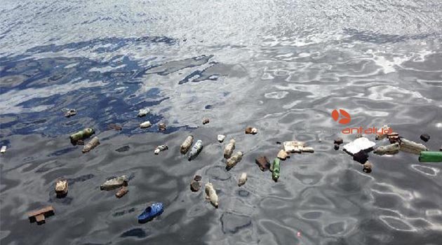 En derin denizlerde dahi hayvanların midesinden plastik çıktı