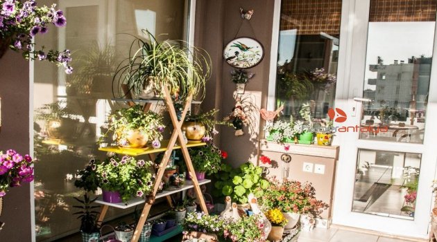 En güzel bahçe ve balkon için geri sayım başladı