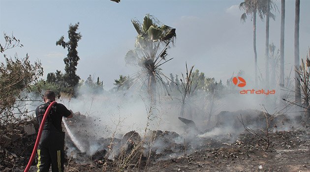Eski ANTBİRLİK alanında çıkan ot çalı yangını korkuttu