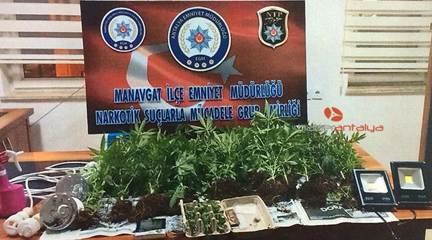 Evde uyuşturucu yetiştiren şüpheli tutuklandı