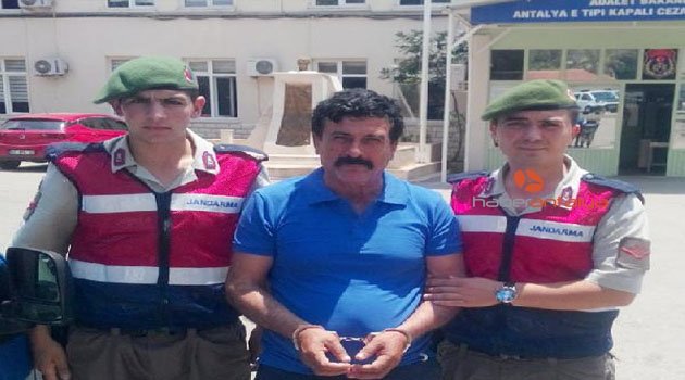 Evinin bahçesine kenevir ekti