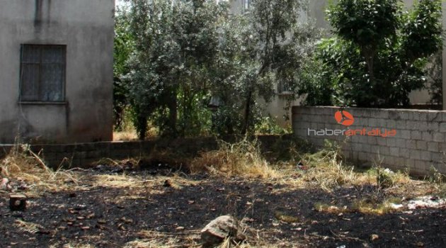 Evinin yakınında gördüğü yılan için mahalleyi yakıyordu