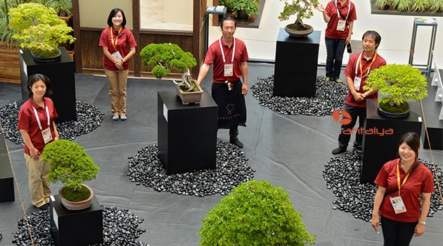 EXPO 2016'DA JAPON BAHÇESİ'NE MADALYA YAĞDI