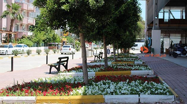  Finike çiçek açtı