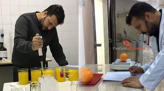 Finike portakalı fark attı