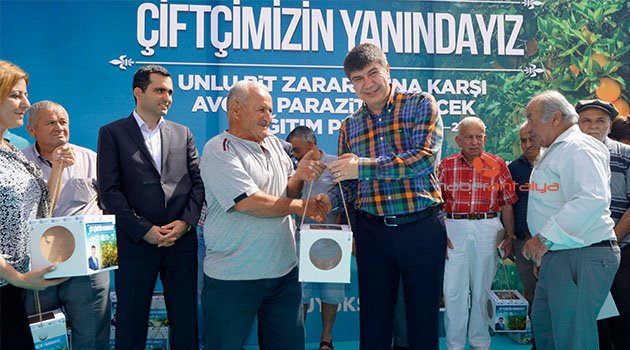Finike'de çiftçiye böcek yardımı