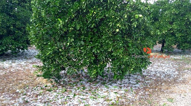 Finike'de dolu zararı 38 milyon