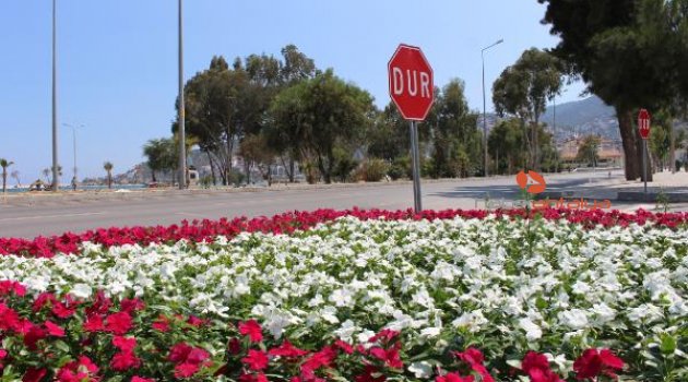 Finike'de peyzaj çalışması