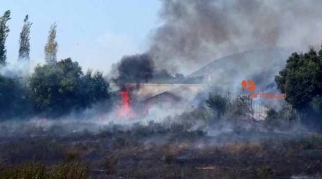 Gazipaşa'da arazi yangını