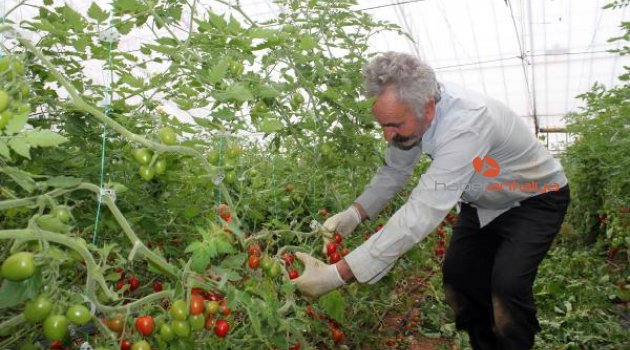 Gazipaşa'dan hormon ve ilaç iddialarına tepki