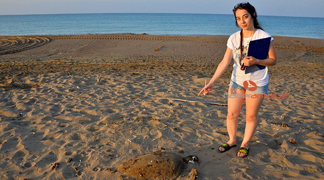 Genç caretta, balıkçıların kurbanı oldu