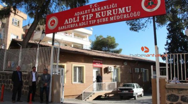 Girdikleri pamuk yığınında havasız kalan 3 çocuk hayatını kaybetti
