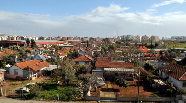 Gülveren’de mutlu son