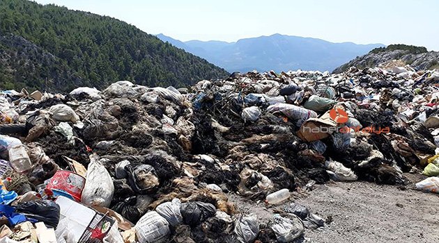 Gündoğmuş'ta kurban derileri çöpe atıldı