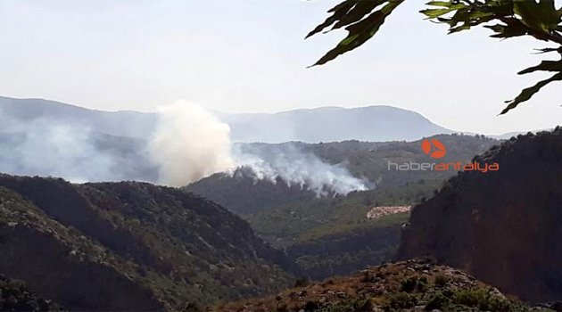 Gündoğmuş'ta orman yangını
