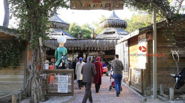 Hayvanat Bahçesi'ne ziyaretçi ilgisi