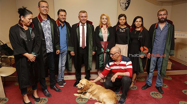 Hayvanlar için ayrı polis teşkilatı istediler