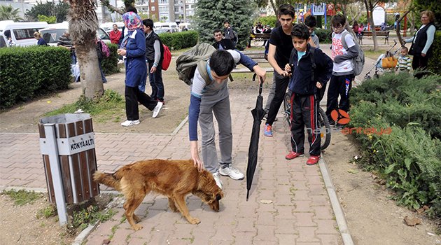 HAYVANSEVER ÖĞRETMEN VE VELİNİN KAVGASI KARAKOLDA BİTTİ