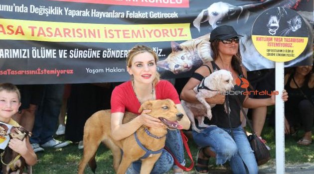 Hayvanseverden yasa tasarısı tepkisi