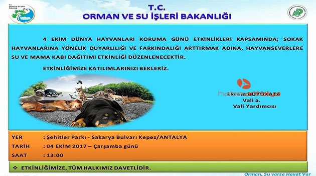 Hayvanseverlere 4 Ekim daveti