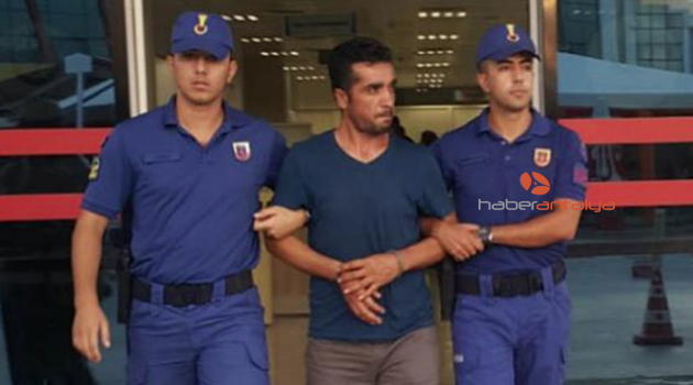 Hırsızlık şüphelisi tutuklandı