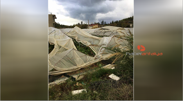 Hortum, tarım alanlarına zarar verdi