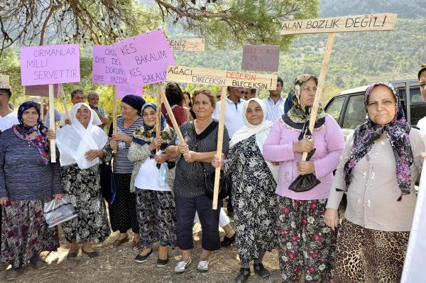İBRADI'DA AĞAÇ KESİMİ TEPKİSİ