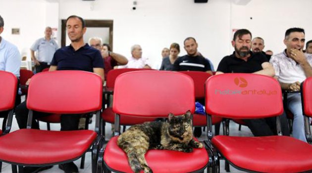 İhalenin sürpriz konuğu