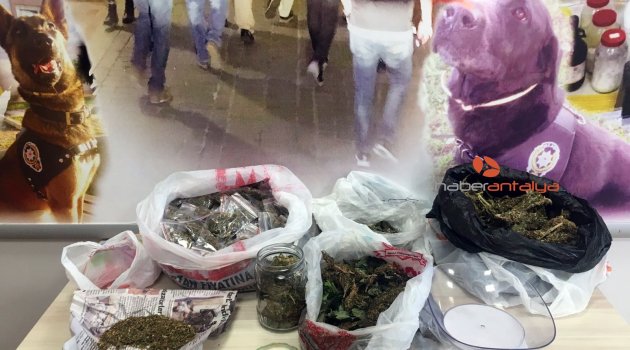 İki ilçede uyuşturucu operasyonu: 9 gözaltı